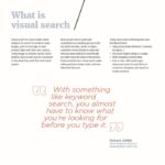 What is visual search