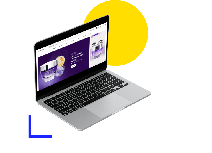 Dr. Pierre Ricaud Website on Laptop