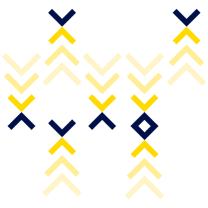 Illustration of Lengow's NetAmplify