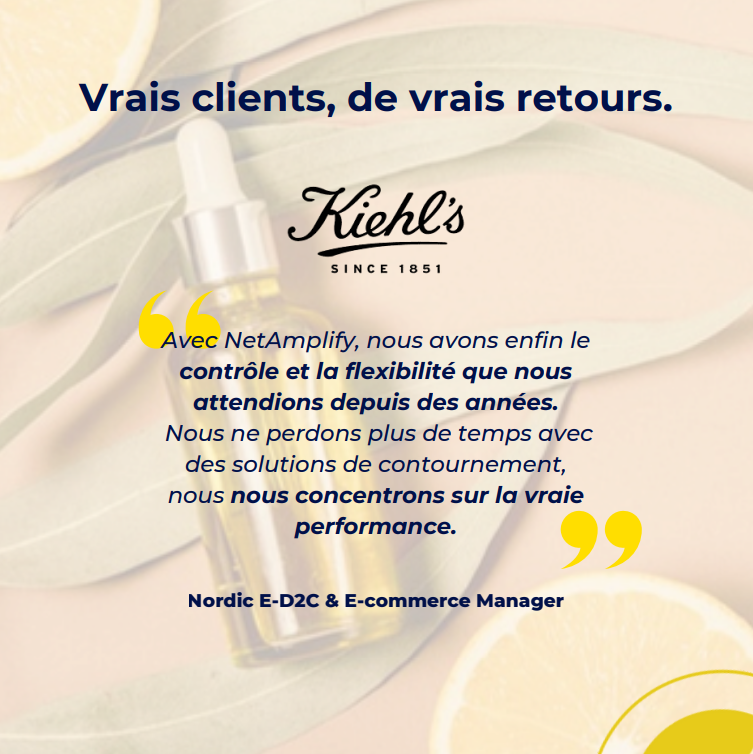 Troisième page NetAmplify Ebook