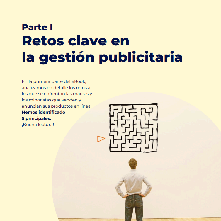 secunda pagina NetAmplify Ebook